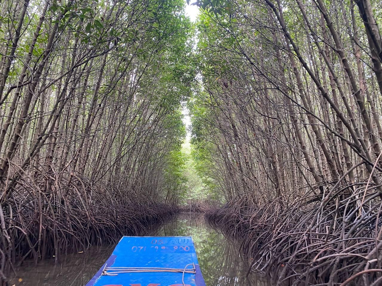 Ganztägige Entdeckungstour in Kep: Mangrovenwald von Kampot und Bootsfahrt bei Sonnenuntergang