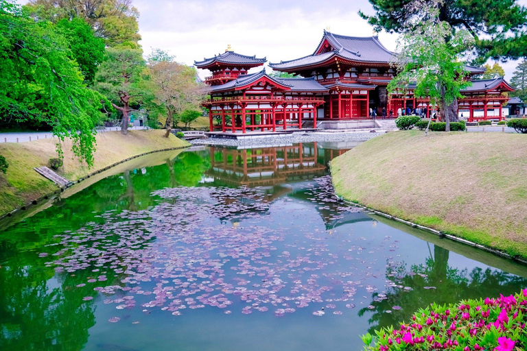Osaka:Nara & Uji In-depth One-Day Tour丨Deer Feeding