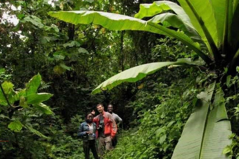 UGANDA RWENZORI — WATERFALLS &amp; MONTANE ALLURE | 6-Day Hike