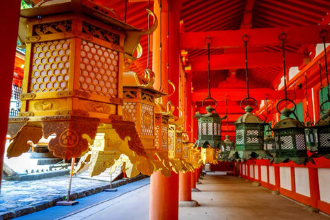 From Osaka/Kyoto: Nara Private Day Tour with Driver/Guide