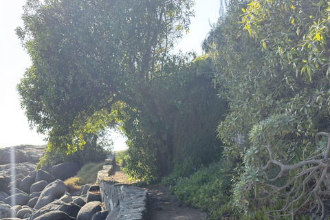 From Santiago: Papudo Horseback Ride & Penguin Watching
