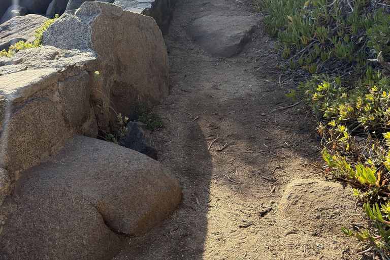 From Santiago: Papudo Horseback Ride & Penguin Watching