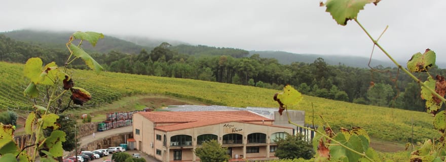 Visite de la cave Adegas Valmiñor et dégustation