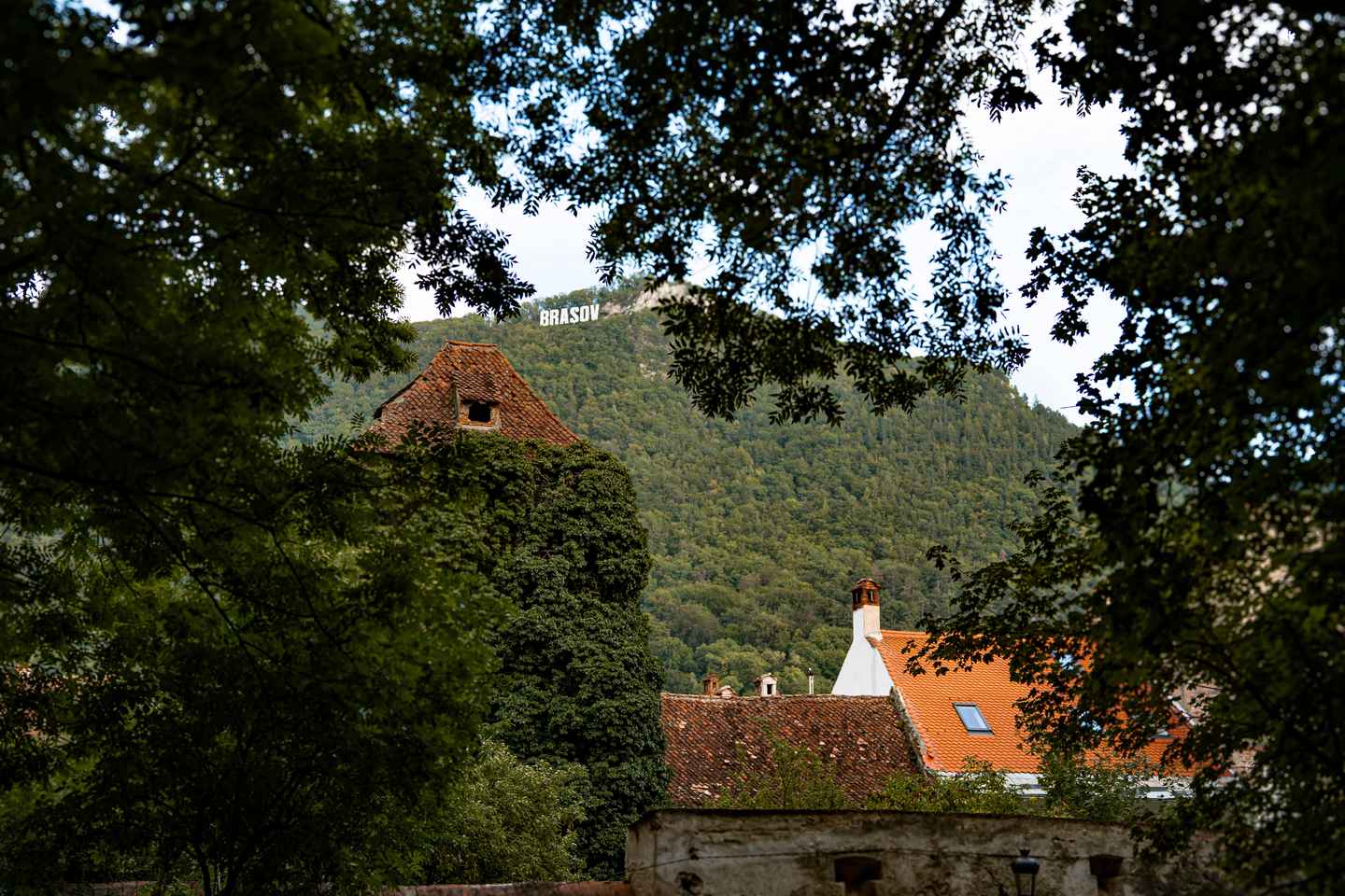Brasov: Photo Walking Tour with Professional Photos