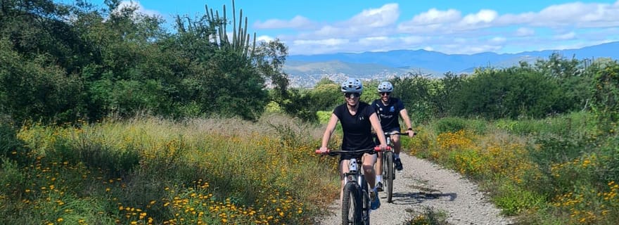 Circuit VTT : les arbres de Tule à travers la campagne