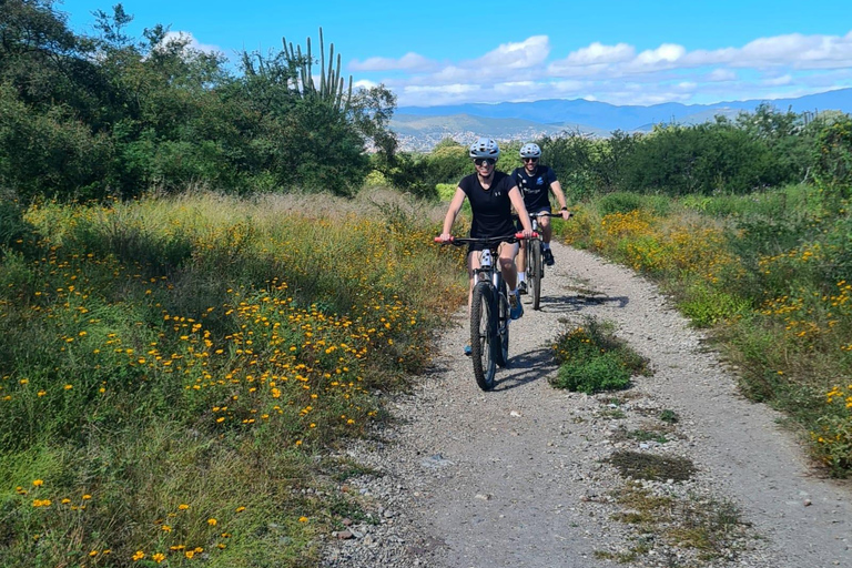 MTB Bike Tour: Tule Tree through the country-side