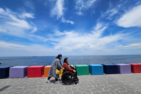 un viaggio sull&#039;isola di Jeju in sedia a rotelle (WHEELCHAIR TOUR)