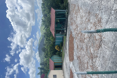 Punta Cana: Horseback Riding Adventure with Transfers