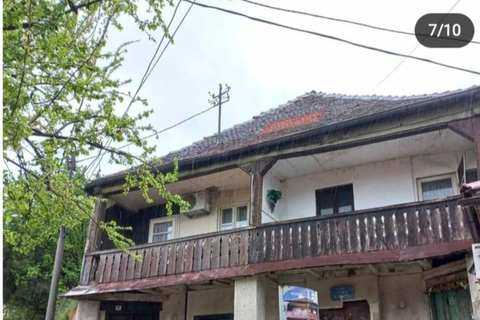 Zemun: „Zusammenleben“, ein multikultureller Spaziergang