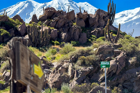 Arequipa: Quad Bike Adventure in Parque de la Rocas Arequipa: Private tour, quad biking in Parque de las Rocas