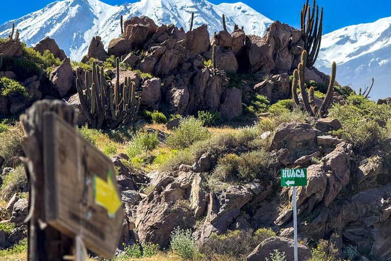 Arequipa: Quad Bike Adventure in Parque de la Rocas Arequipa: Private tour, quad biking in Parque de las Rocas
