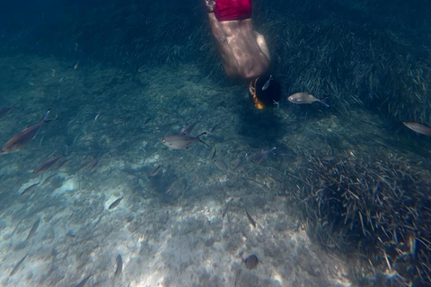 Mahdia: Guided Medina Tour and Scuba Diving Experience