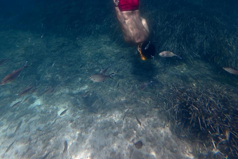 Mahdia: Guided Medina Tour and Scuba Diving Experience