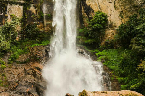 Kandy: Nuwara Eliya, Ambewela Drop Tour & Ella Train journey Kandy: Nuwara Eliya, Ambewela Drop Tour by car or van