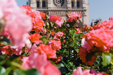 Parigi: Tour di Notre Dame e dell&#039;Ile de la Cité con la Sainte ChapelleTour in italiano con biglietti per la Sainte Chapelle e la Conciergerie