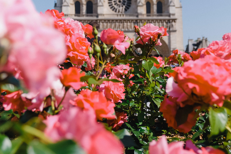 Parigi: Tour di Notre Dame e dell&#039;Ile de la Cité con la Sainte ChapelleTour in italiano con biglietti per la Sainte Chapelle e la Conciergerie