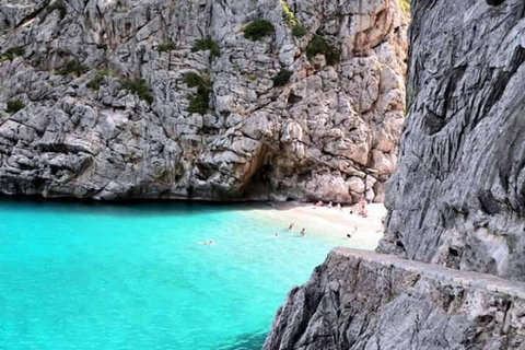 Tour de Majorque : Sa Calobra, Torrent de Pareis et Cala Tuent