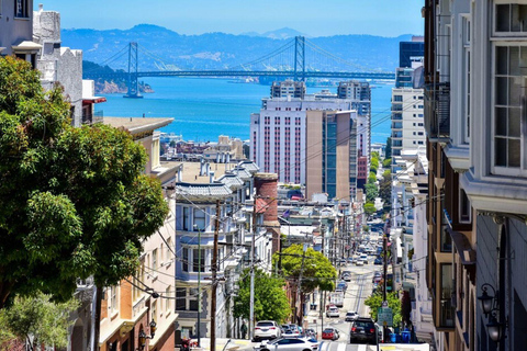 San Francisco: Muir Woods & Sausalito Private Tour