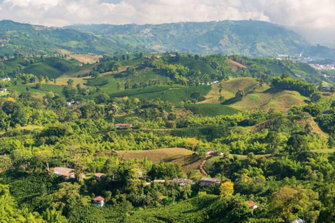 Bogotá: Coffee Farm Excursion