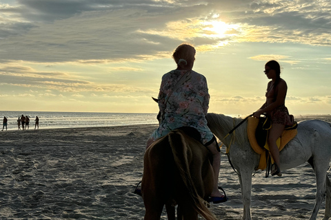 Salalah - Ridning på stranden Ridning på stranden med hämtning och lämning på hotellet60 minuters ridning på stranden