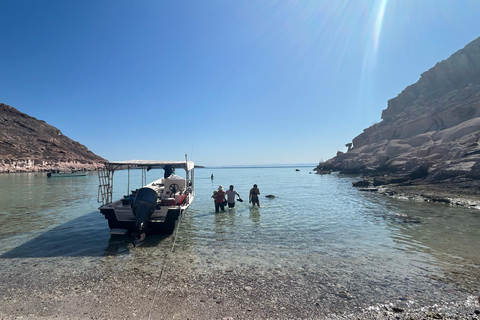 La Paz: Espíritu Santo Island, Balandra Beach, and Sea Lions – All-Inclusive La Paz: Espíritu Santo Island and Balandra, All-Inclusive