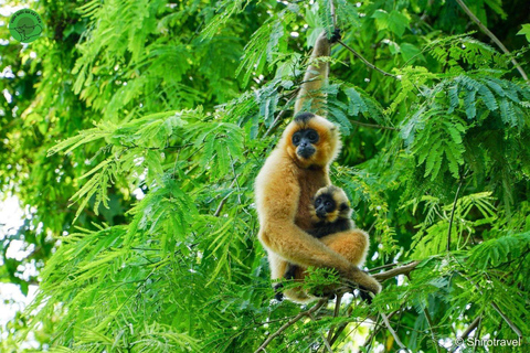 Ho Chi Minh City: Nam Cat Tien National Park 2-Day Tour