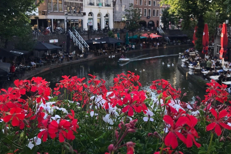 Utrecht: Tour a pie por el centro de la ciudadTour a pie por Utrecht - La cuarta ciudad más grande de Holanda