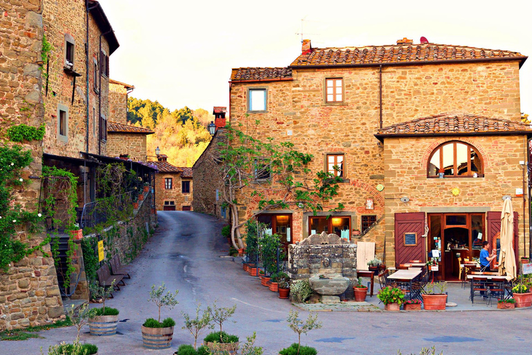 Full-Day Tuscany Tour: Pisa, San Gimignano & Siena Highlight Guide in English