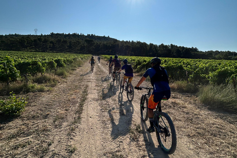 Aureille: Les Civadières, Roquemartine, and Les Opies by bike Aureille: The grand tour of the Opies by private bike