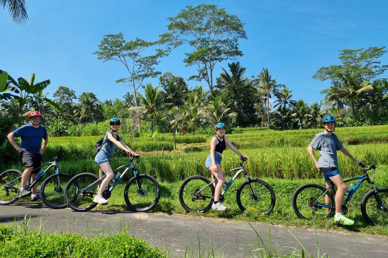 Ubud: downhill fietsen met vulkaan, rijstterrassen en maaltijd