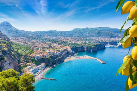 From Naples: Pompeii and Sorrento Day Trip with Lunch Option with Lunch