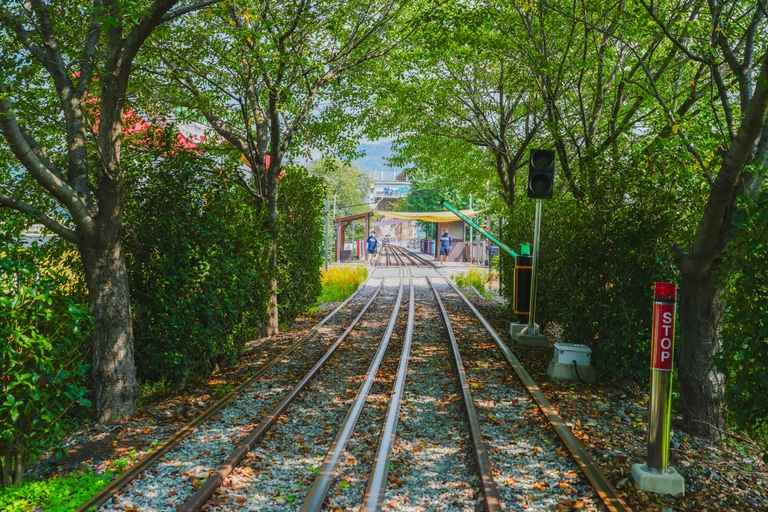From Busan: Gimhae Gaya Park, Electric Railbike & Art Show Meet at Nampo Subway Station Exit 10 - 09:20