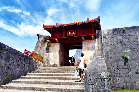 Naha: Shurijo Castle & Tamaudun Guided Walking Tour Morning visit