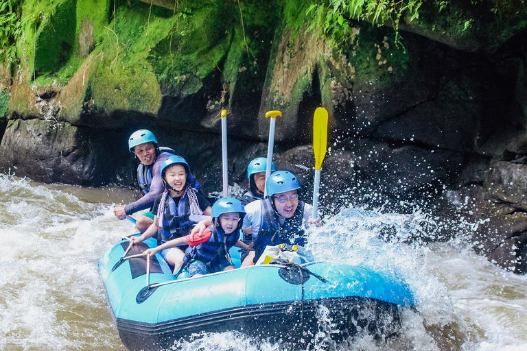 Bali: Ayung River Rafting with Ubud Tour and Lunch