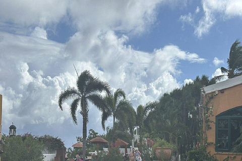 St. Kitts: Palm Court Pool with Jacuzzi Access