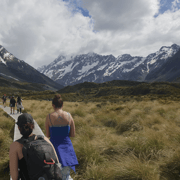 From Christchurch: Mount Cook & Lake Tekapo Day Tour & Lunch