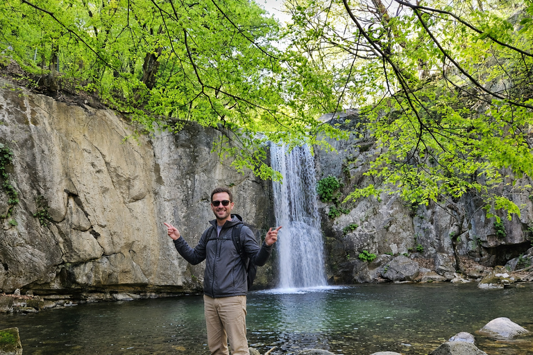 Chuncheon: Temple, Lake Cruise & Forest Escape