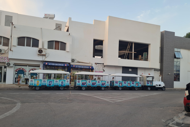 正宗杰尔巴：日落马车之旅和东方小吃正宗杰尔巴岛：日落马车之旅和免费东方小吃