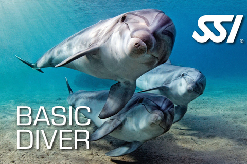 Chania : Essai de plongée sous-marine 2 plongées à terre (recevoir la certification)