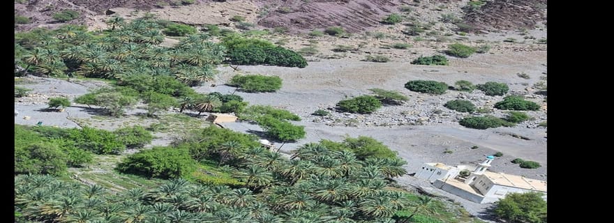 Randonnée guidée en montagne : plateau de Sayq et descente par l'oued Muaydin