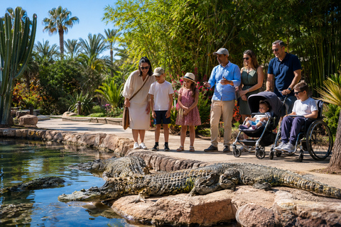 Agadir: Crocoparc & Goats in Argan Trees - Family Day Out