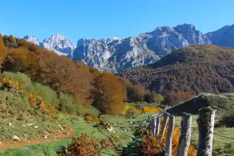 Cangas de Onís: Ruta en Bosque de Vegabaño con comida en refugio de montaña