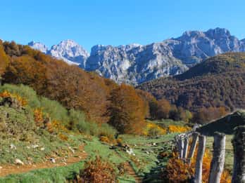 Cangas de Onís: Ruta en Bosque de Vegabaño con comida en refugio de montaña