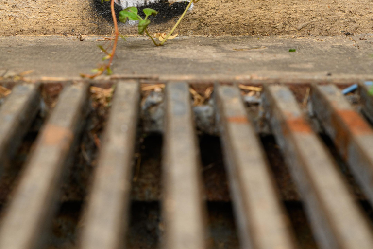 Paris: Experience the romance of Montmartre on a walk with a pro photographer Paris: Experience romance in Montmartre, a walk with a photographer in English