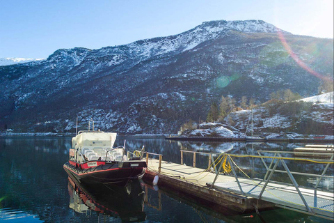 Private day tour to Flåm&RIB Sognefjord Safari&Flåm Railway