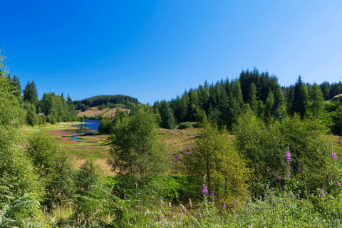 Loch Lomond &amp; Trossachs National Park Rit met een AppLoch Lomond rijtoer