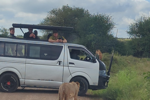 Nairobi Park Safari, Sheldrick's Orphanage & Giraffe Center Shared Drive in Open-Roof Van Game Drive