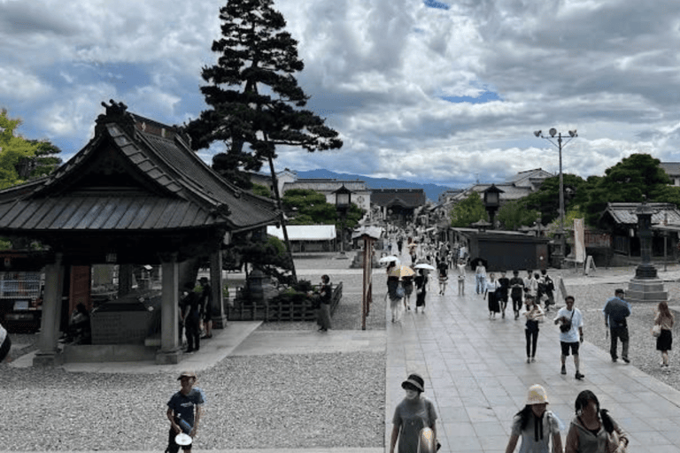 Nagano/Tokyo: Snow Monkey Private Car Tour Hotel Pick & Drop