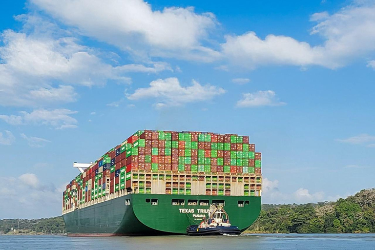 Panama: Tour dell'habitat della giungla delle scimmie e dei bradipi a Panama