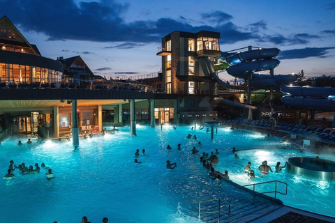 Zakopane: Snowmobile, Sleigh Ride, & Thermal Pools Tour